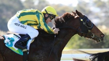 Peter Hall has been suspended for three months for his ride on Ysmael last Wednesday at Belmont Park.